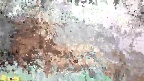 SaraCattra online show from 09/12/25, 10:48