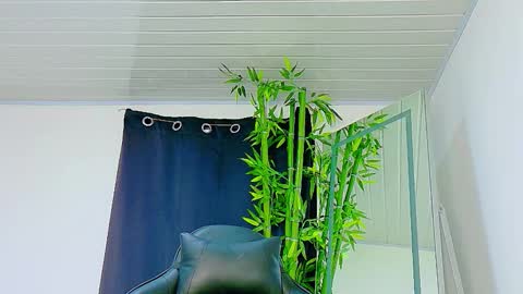 Snapshot of prettybunnies08 chatting on 11/27/25, 09:06 Enzo Denis online show from 11/27/25, 09:06