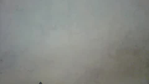 Snapshot of prettycarl_2 chatting on 03/01/25, 10:42 prettycarl_2 online show from 03/01/25, 10:42