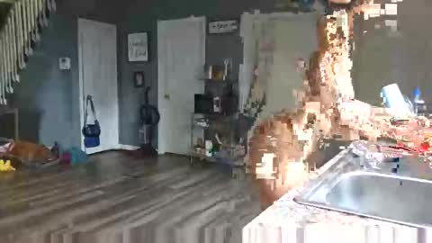 Pink Pussy69 online show from 04/15/26, 02:02