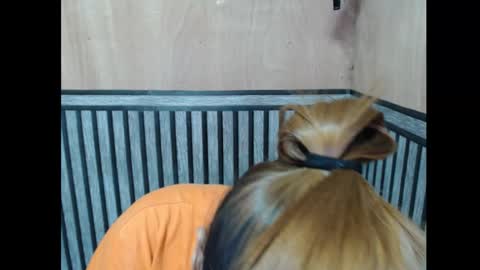 Kate online show from 11/07/25, 06:08