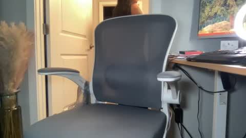 Discrete Pussy online show from 07/28/26, 06:53