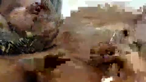 Princess Asshole online show from 10/09/25, 10:24