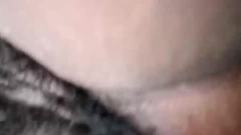 Princess Asshole online show from 05/19/26, 07:58