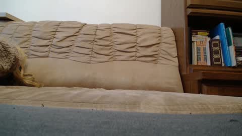 Prince Of Prague online show from 02/07/25, 08:22