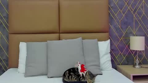 Snapshot of princess_deimos__ chatting on 01/06/26, 08:12 Princess Deimos online show from 01/06/26, 08:12