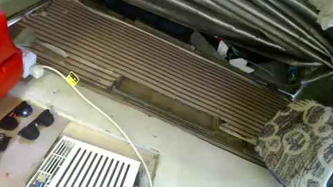  My Love online show from 01/24/25, 06:03