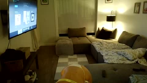 jasminexoxo online show from 07/02/26, 06:30