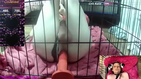 Snapshot of princessjuliaxo4 chatting on 02/07/26, 12:25 PrIncessJulia0X online show from 02/07/26, 12:25