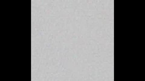 prissyymissyy online show from 02/04/25, 12:29