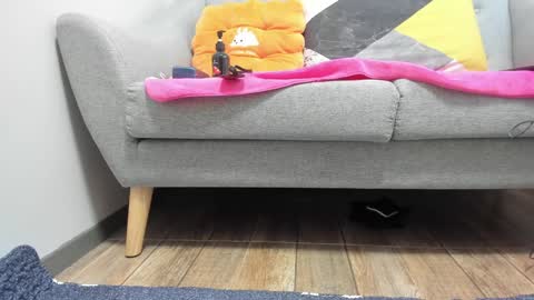 PrittiDitti online show from 01/22/25, 02:04