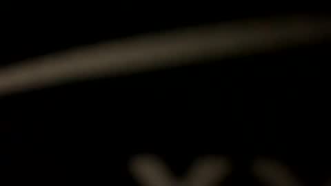 privat2025 online show from 03/30/26, 08:10