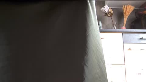 Snapshot of private_space chatting on 07/15/26, 11:15 Space online show from 07/15/26, 11:15