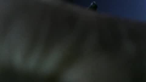 privatefuckit online show from 01/05/26, 09:51