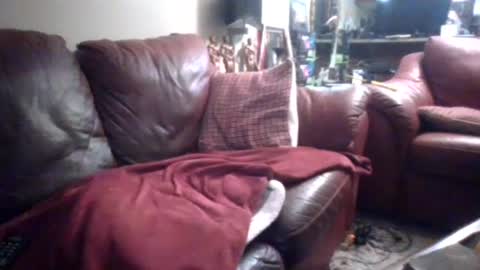 Snapshot of probody chatting on 09/14/25, 02:16 MUSCLEGOD online show from 09/14/25, 02:16