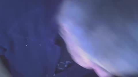 Snapshot of projectorepson chatting on 01/11/26, 07:35 projectorepson online show from 01/11/26, 07:35