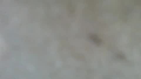 psachno online show from 11/10/25, 12:37