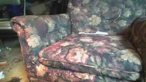 pspee313 online show from 06/21/26, 12:30
