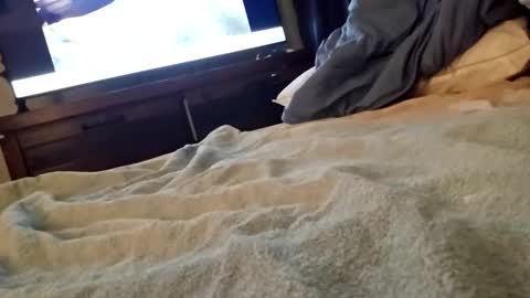 Snapshot of ptut82 chatting on 09/18/25, 07:10 ptut82 online show from 09/18/25, 07:10