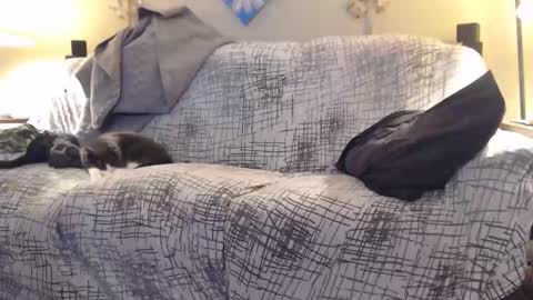 Snapshot of puff0169 chatting on 02/12/26, 07:25 puff0169 online show from 02/12/26, 07:25