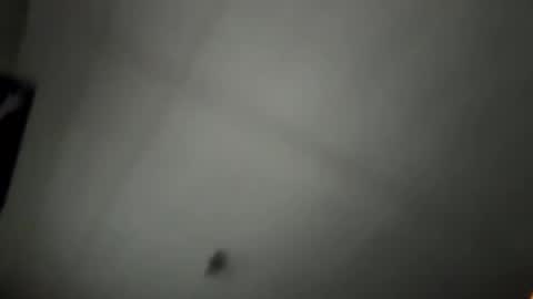 pufftropica online show from 01/07/26, 03:36