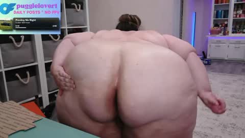 Puggie -  online show from 04/15/26, 02:46