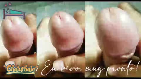 puky_mza online show from 12/20/24, 12:41