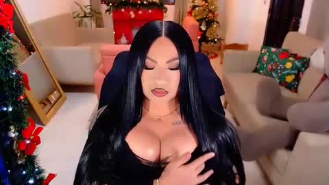 Snapshot of punisher9inchss chatting on 12/17/25, 05:24 online show from 12/17/25, 05:24