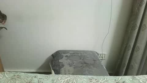 nutella online show from 11/13/25, 07:18