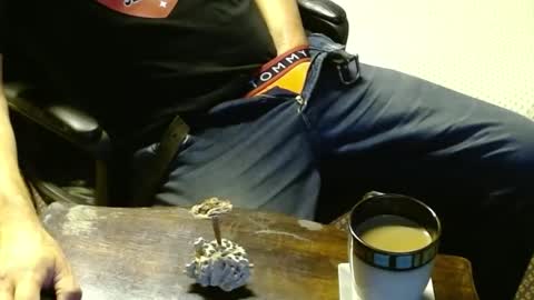 Jojo online show from 10/12/25, 12:31