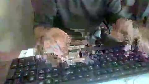 Snapshot of pup_y chatting on 09/17/25, 02:52 pup_y online show from 09/17/25, 02:52