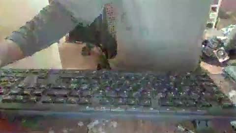 Snapshot of pup_y chatting on 12/14/25, 06:56 pup_y online show from 12/14/25, 06:56