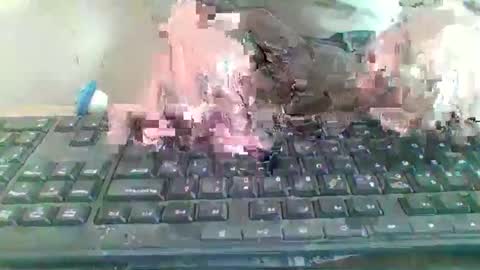 pup_y online show from 01/09/26, 09:56