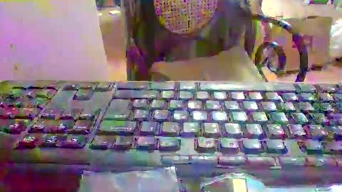 pup_y online show from 01/10/26, 05:58