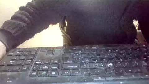 pup_y online show from 01/31/26, 07:11