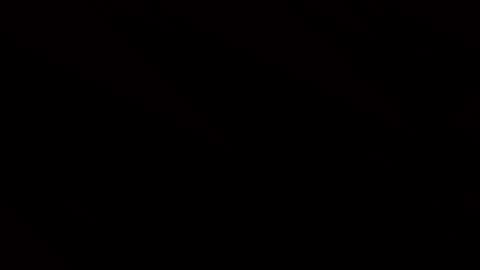 pup_y online show from 02/04/26, 10:47