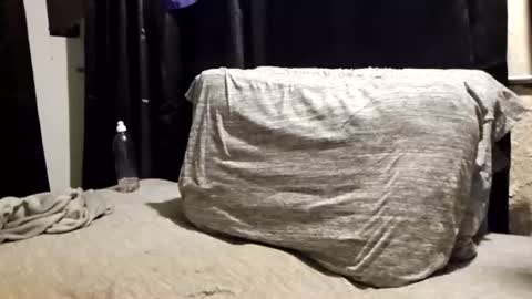 pupdoom9522 online show from 06/15/26, 08:49
