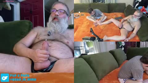 Pup And Papa bear online show from 05/23/26, 01:44
