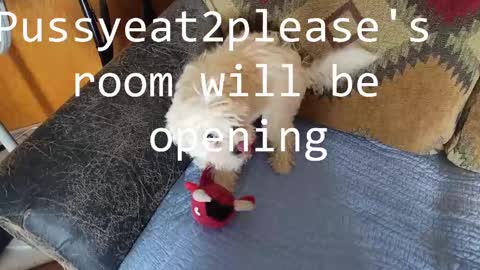 Snapshot of pussyeat2please chatting on 02/16/25, 08:33 Rick online show from 02/16/25, 08:33