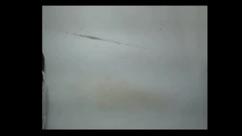 pussyxwetx online show from 02/04/26, 08:14