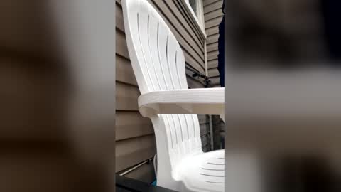 Snapshot of pyrex8 chatting on 01/13/26, 03:17 pyrex8 online show from 01/13/26, 03:17