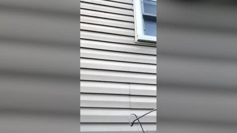 Snapshot of pyrex8 chatting on 04/11/26, 11:36 pyrex8 online show from 04/11/26, 11:36