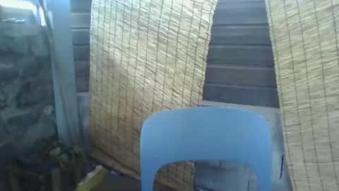 Python online show from 03/10/26, 02:27