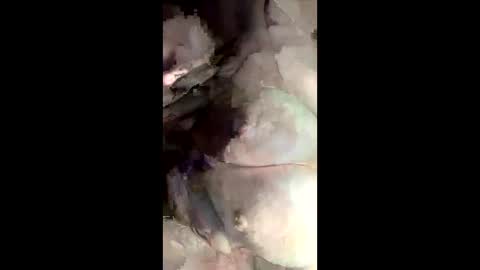 Bigtitanalslut online show from 05/25/26, 12:38