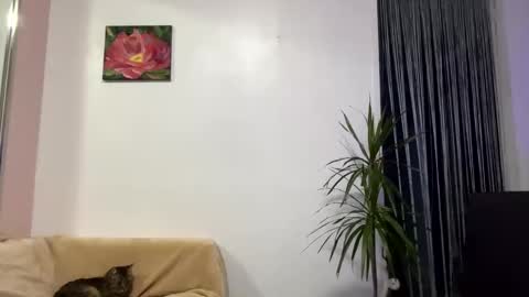 Viktoria online show from 01/28/25, 12:32