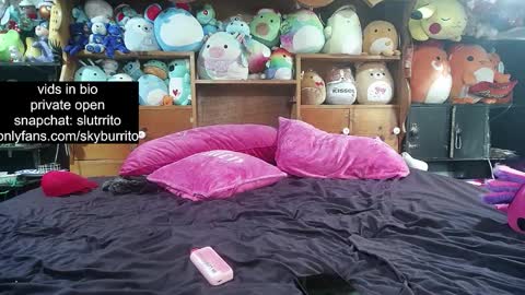 Snapshot of queer_burrito chatting on 10/18/25, 11:38 Sky Burrito online show from 10/18/25, 11:38