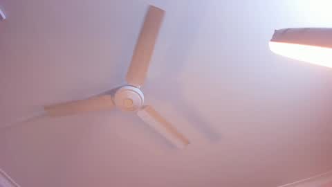 Rachel online show from 01/03/25, 11:14