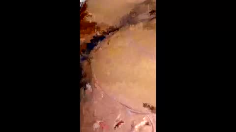 rafagomez102002 online show from 01/18/26, 02:48