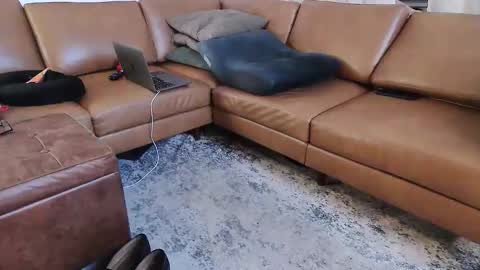 DressSock Shoe online show from 05/07/26, 04:40