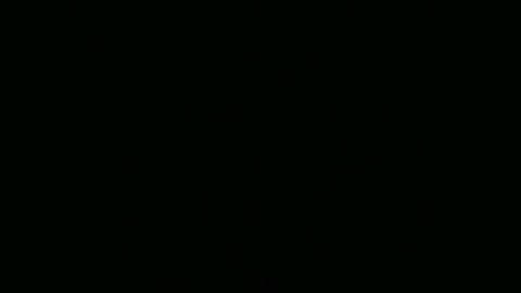 Snapshot of ragingcock315 chatting on 12/10/24, 12:39 hornybluecollar online show from 12/10/24, 12:39